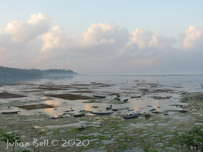 Seaweed Farm, Nusa Lembongan, Indonesia