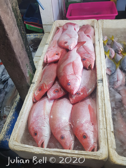 Jimbaran FIsh Market, Bali, Indonesia