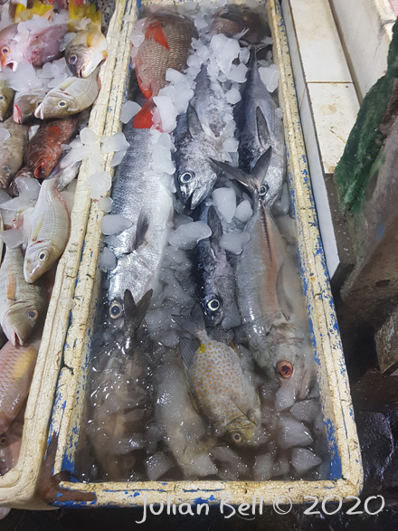 Jimbaran FIsh Market, Bali, Indonesia