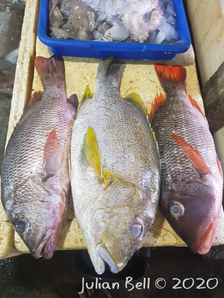 Jimbaran FIsh Market, Bali, Indonesia