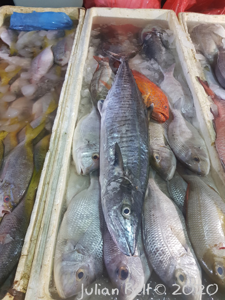 Jimbaran FIsh Market, Bali, Indonesia